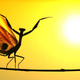 Image for article titled Luminous Nature Photographs Will Restore Your Sense of Wonder